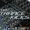 DMS - Trance Kicks Vol 1 (WAV REX) - сэмплы бас барабана DMS - Trance Kicks Vol 1 (WAV REX) - сэмплы бас барабана