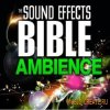 Sound Effects Bible - Ambience (WAV) - звуковые эффекты Sound Effects Bible - Ambience (WAV) - звуковые эффекты