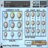 AudioThing - Milkshake KONTAKT (Team Sonitus) AudioThing - Milkshake KONTAKT (Team Sonitus)