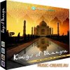 Producer Loops - Kings of Bhangra Vol 1 (MULTiFORMAT DVDR) - сэмплы индийских инструментов Producer Loops - Kings of Bhangra Vol 1 (MULTiFORMAT DVDR) - сэмплы индийских инструментов