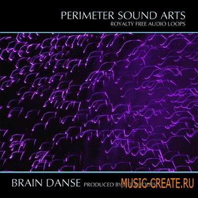 Perimeter Sound Arts - Brain Danse (ACiD WAV) - сэмплы Ambient
