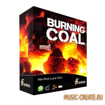 P5 Audio - Burning Coal (WAV AIFF REX2) - сэмплы East Coast, Hip Hop
