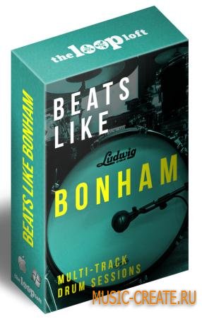 The Loop Loft - Beats Like Bonham Complete Takes Vol.5 (WAV) - мильтитрек сессии ударных