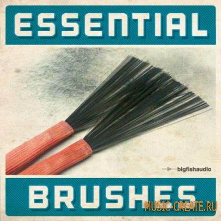 Big Fish Audio - Essential Brushes (MULTiFORMAT) - сэмплы ударных Big Fish Audio - Essential Brushes (MULTiFORMAT) - сэмплы ударных