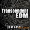 Loop Cartel - Transcendent EDM (WAV AiFF) - сэмплы Trance, Chillout, Dubstep Loop Cartel - Transcendent EDM (WAV AiFF) - сэмплы Trance, Chillout, Dubstep