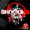 Vandalism - Shocking House Soundz 1 (Sylenth1 Presets) Vandalism - Shocking House Soundz 1 (Sylenth1 Presets)