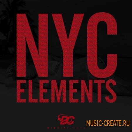 Big Citi Loops - NYC Elements (ACiD WAV MiDi FLP) - сэмплы Hip Hop