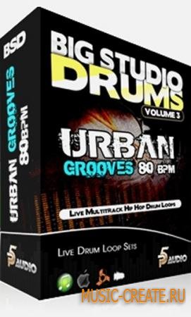 P5 Audio - Big Studio Drums Vol 3: Urban Grooves 80 bpm (MULTiFORMAT) - сэмплы Urban