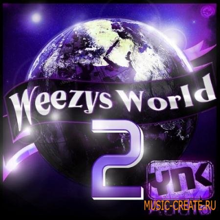 YnK Audio - Weezy's World 2 (WAV MiDi FLP) - сэмплы Dirty South