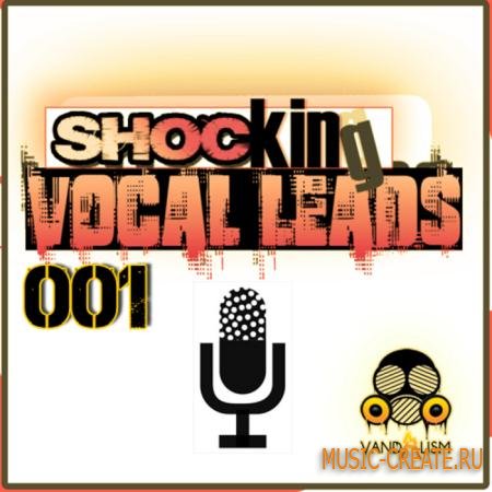 Vandalism - Shocking Vocal Leads 001 (WAV MIDI) - вокальные сэмплы Vandalism - Shocking Vocal Leads 001 (WAV MIDI) - вокальные сэмплы