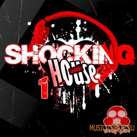Vandalism - Shocking House Soundz 1 (Sylenth1 Presets)