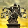 Looptroniks - Good Spring (WAV MiDi) - сэмплы Hip Hop Looptroniks - Good Spring (WAV MiDi) - сэмплы Hip Hop