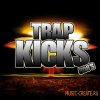 Misfit Digital - Trap Kicks & 808s (WAV) - сэмплы бас-барабанов