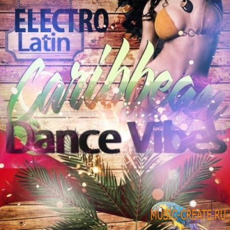Black Dynasty - Electro Latin Caribbean Dance Vibes (WAV MiDi) - сэмплы Latin Dance