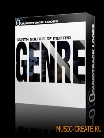 Soundtrack Loops - Synth Sounds of Montra (ACiD WAV AiFF ABLETON) - сэмплы Downtempo, Left-field, Chillout, Ambient