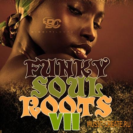 Big Citi Loops - Funky Soul Roots 7 (WAV MiDi) - сэмплы Neo Soul, Gospel, Funky Jazz Big Citi Loops - Funky Soul Roots 7 (WAV MiDi) - сэмплы Neo Soul, Gospel, Funky Jazz