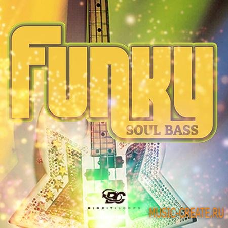 Big Citi Loops - Funky Soul Bass (WAV REX AiFF) - сэмплы бас-гитары Big Citi Loops - Funky Soul Bass (WAV REX AiFF) - сэмплы бас-гитары