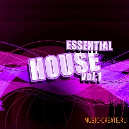 Pulsed Records - Essential House (WAV) - сэмплы House Pulsed Records - Essential House (WAV) - сэмплы House