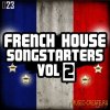 Freaky Loops - French House Songstarters 2 (WAV) - сэмплы Electro House, House Freaky Loops - French House Songstarters 2 (WAV) - сэмплы Electro House, House