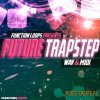 Function Loops - Future Trapstep (WAV MiDi) - сэмплы Trap, Glitch Hop, Dubstep Function Loops - Future Trapstep (WAV MiDi) - сэмплы Trap, Glitch Hop, Dubstep