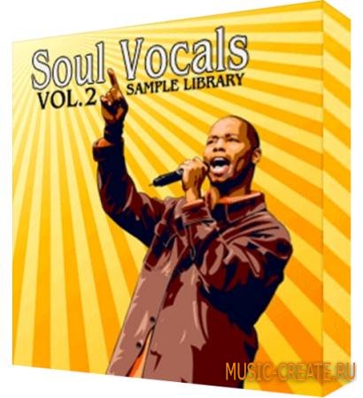 Gotchanoddin - Soul Vocals Vol 2 (WAV MULTiSAMPLER PATCHES) - вокальные сэмплы