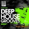 CNTRL Samples - Deep House Grooves (WAV) - сэмплы Deep House CNTRL Samples - Deep House Grooves (WAV) - сэмплы Deep House