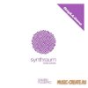 Samples To Pro - Synthraum Artist Series Reig and A Gama (WAV) - сэмплы House Samples To Pro - Synthraum Artist Series Reig and A Gama (WAV) - сэмплы House