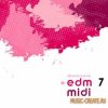 Shockwave - EDM MIDI Vol 7 (WAV MIDI) - сэмплы Electro House Shockwave - EDM MIDI Vol 7 (WAV MIDI) - сэмплы Electro House