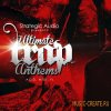 Strategic Audio - Ultimate Trap Anthems (ACiD WAV MiDi FLP) - сэмплы Trap, Dirty South, Hip Hop Strategic Audio - Ultimate Trap Anthems (ACiD WAV MiDi FLP) - сэмплы Trap, Dirty South, Hip Hop