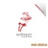 Samples To Pro - Synthraum Series Pure Techno (WAV) - сэмплы Techno Samples To Pro - Synthraum Series Pure Techno (WAV) - сэмплы Techno