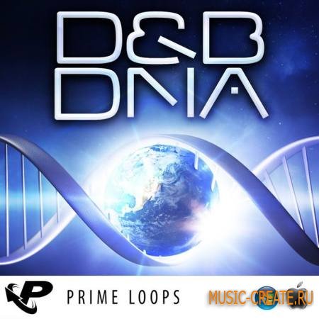Prime Loops - Drum and Bass DNA (ACiD WAV REX2 AiFF) - сэмплы Drum and Bass
