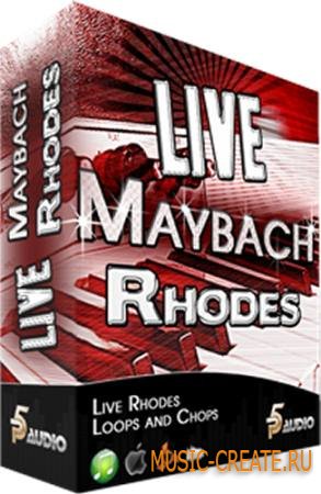 P5 Audio - Live Maybach Rhodes (MULTiFORMAT) - сэмплы электропиано Rhodes