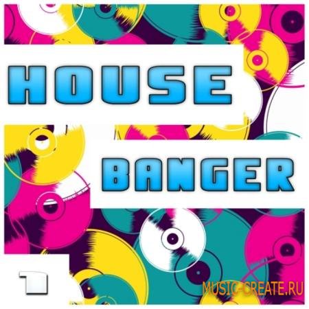 Shockwave - House Banger Vol 1 (WAV MiDi) - сэмплы Electro House, Dance, House, Progressive House Shockwave - House Banger Vol 1 (WAV MiDi) - сэмплы Electro House, Dance, House, Progressive House