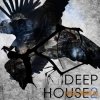 SPF Samplers - Deep House 2 (WAV) - сэмплы Deep House SPF Samplers - Deep House 2 (WAV) - сэмплы Deep House