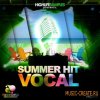 HighLife Samples - Summer Hit Vocals (WAV MiDi) - вокальные сэмплы HighLife Samples - Summer Hit Vocals (WAV MiDi) - вокальные сэмплы
