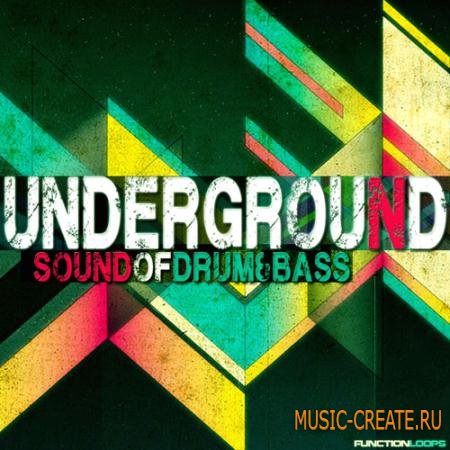 Function Loops - Underground Sound of Drum & Bass (WAV MiDi) - сэмплы Drum & Bass