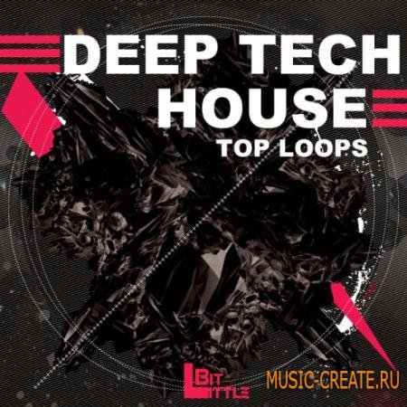 Little Bit - Deep Tech House Top Loops (WAV) - сэмплы Deep Tech House