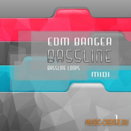 Shockwave - EDM Banger Bassline Vol 1 (WAV MIDI) - сэмплы Electro House