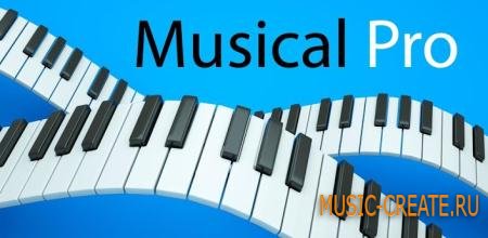 Musical Pro 6.0.7 (Android OS 2.1+) Musical Pro 6.0.7 (Android OS 2.1+)