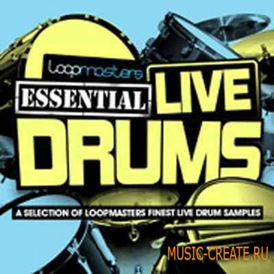 Loopmasters - Essentials 29 Live Drums (WAV) - сэмплы ударных Loopmasters - Essentials 29 Live Drums (WAV) - сэмплы ударных