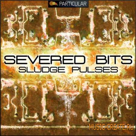 Particular - Severed Bits Sludge Pulses (WAV REX2) - сэмплы house, techno, dubstep Particular - Severed Bits Sludge Pulses (WAV REX2) - сэмплы house, techno, dubstep
