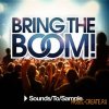 Sounds To Sample - Bring the Boom! (WAV MIDI) - сэмплы progressive house Sounds To Sample - Bring the Boom! (WAV MIDI) - сэмплы progressive house