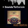 Class A Samples - NI Massive Total Demolition (WAV / NI Massive Presets) Class A Samples - NI Massive Total Demolition (WAV / NI Massive Presets)