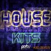 Party Design - Designed House Construction Kits 2 (MULTiFORMAT) - сэмплы House Party Design - Designed House Construction Kits 2 (MULTiFORMAT) - сэмплы House
