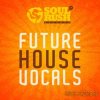 Soul Rush Records - Future House Vocals (WAV) - вокальные сэмплы Soul Rush Records - Future House Vocals (WAV) - вокальные сэмплы