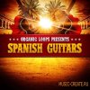 Organic Loops - Spanish Guitar (WAV REX2) - сэмплы акустической гитары Organic Loops - Spanish Guitar (WAV REX2) - сэмплы акустической гитары
