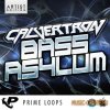 Prime Loops - Calvertrons Bass Asylum (MULTiFORMAT) - сэмплы Dubstep Prime Loops - Calvertrons Bass Asylum (MULTiFORMAT) - сэмплы Dubstep