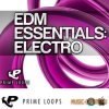 Prime Loops - EDM Essentials: Electro (MULTiFORMAT) - сэмплы Electro Prime Loops - EDM Essentials: Electro (MULTiFORMAT) - сэмплы Electro