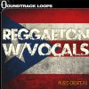 Soundtrack Loops - Reggaeton With Vocals (ACiD WAV AiFF LiVE PACK) - сэмплы Reggaeton, Moombahton Soundtrack Loops - Reggaeton With Vocals (ACiD WAV AiFF LiVE PACK) - сэмплы Reggaeton, Moombahton