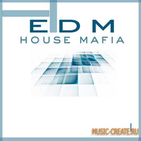 Shockwave - EDM House Mafia Vol 1 (WAV MiDi) - сэмплы Club, House, Progressive House, Dance
